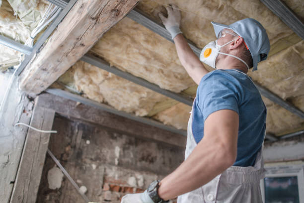 Best Insulation Maintenance and Repair in Hiram, OH